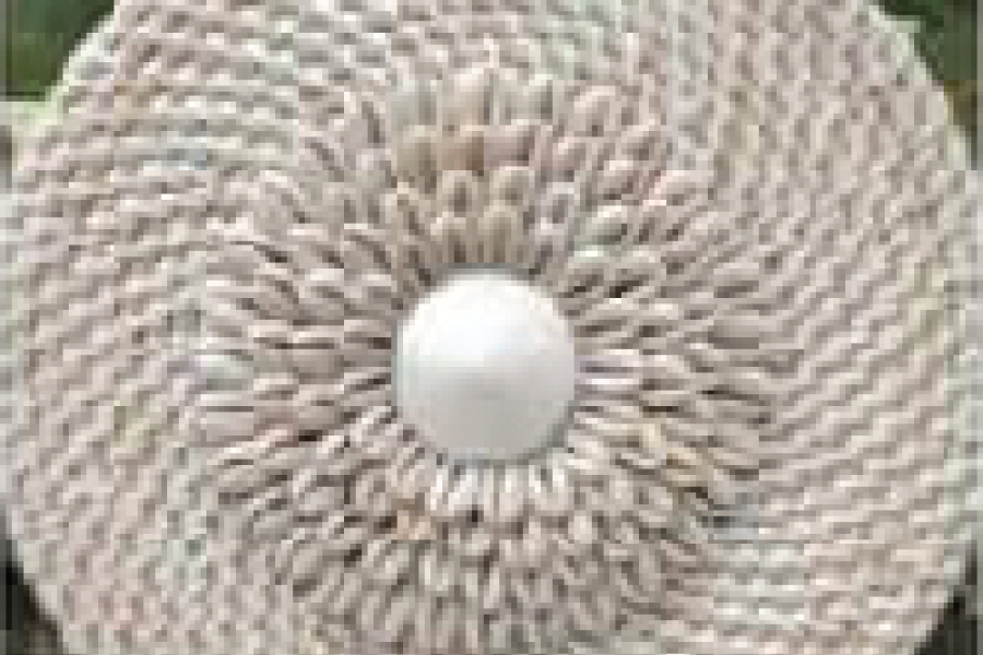 Rattan - Woven Bags Genuine with Different Design -M6 Rattan Bags